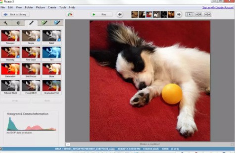 Picasa 照片管理界面截圖